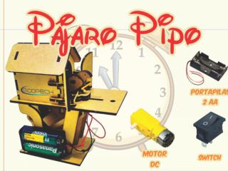 Pájaro Pipo