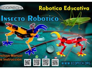 Insecto Robot Dos Patas